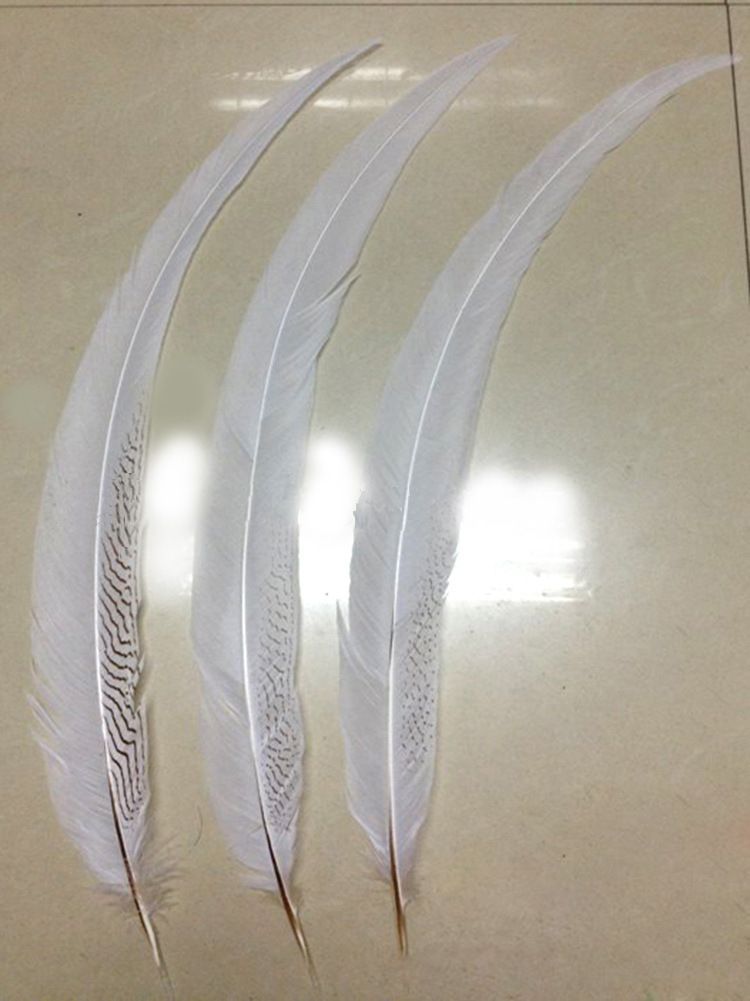 Yiwu Factory Direct Sales Wild Bird Hair Silver Cocktail Feather Craft Can Be Customized Color Carnival Clothing Accessories