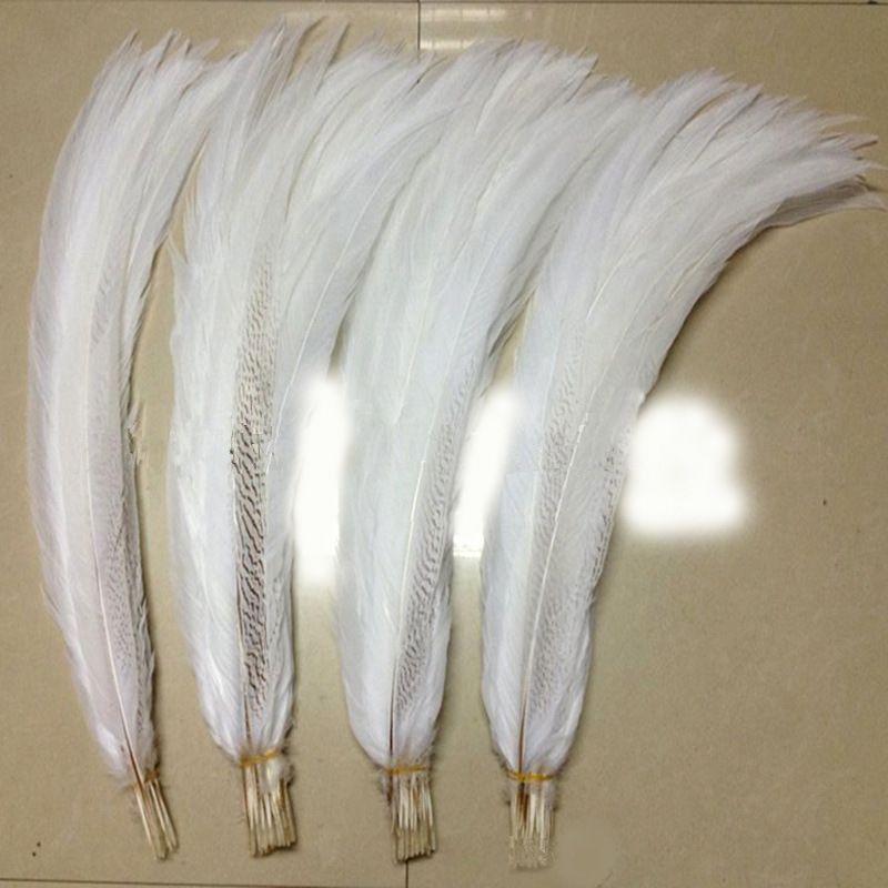 Yiwu Factory Direct Sales Wild Bird Hair Silver Cocktail Feather Craft Can Be Customized Color Carnival Clothing Accessories