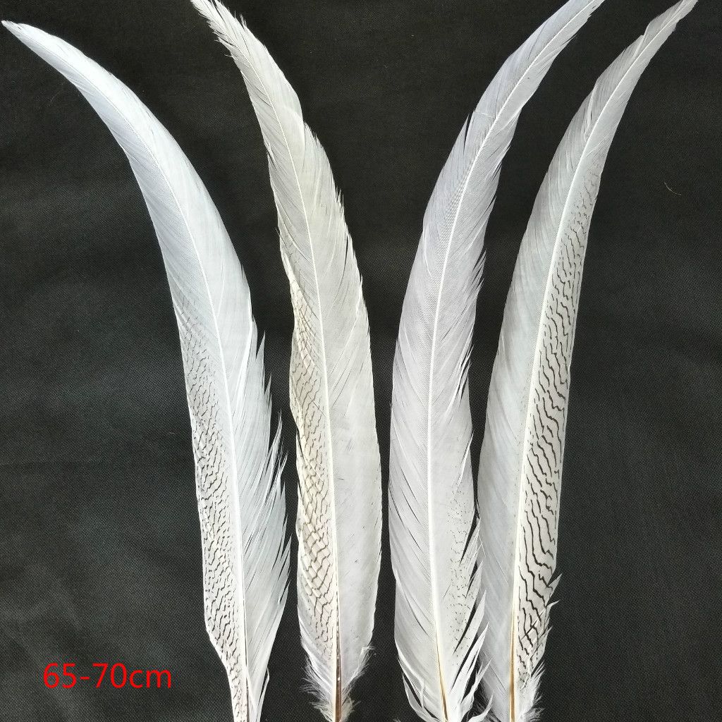 Yiwu Factory Direct Sales Wild Bird Hair Silver Cocktail Feather Craft Can Be Customized Color Carnival Clothing Accessories