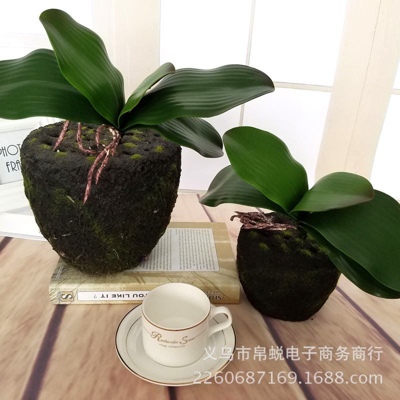 Simulation Plant Flower Arrangement Accessories Piece Phalaenopsis Leaf Clivia Emulational Decoration Craft Wedding Ceremony Layout