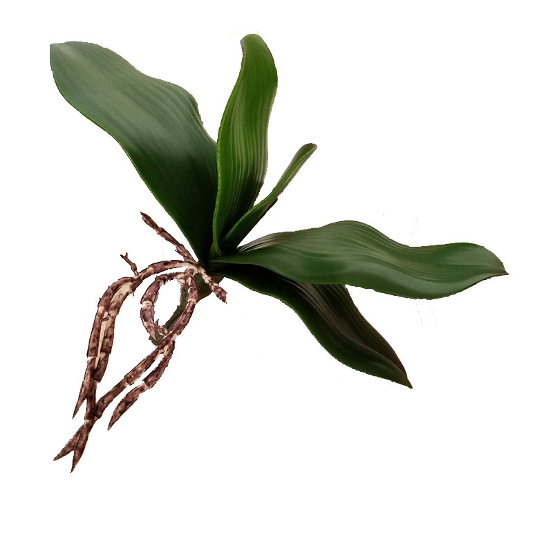 Simulation Plant Flower Arrangement Accessories Piece Phalaenopsis Leaf Clivia Emulational Decoration Craft Wedding Ceremony Layout