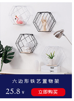 Yiwu Product Display Stand Hook Wall Hanging Mobile Phone Accessory Hook Small Jewelry Rack Rack Straight Iron Long up Wall Hook