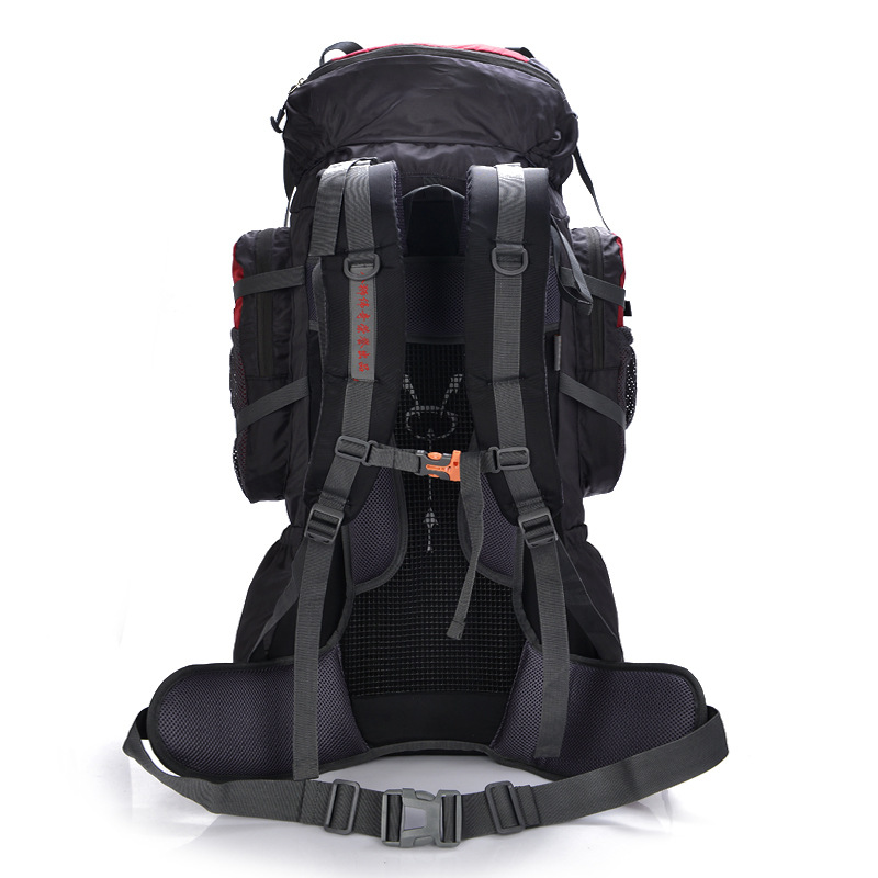 Factory Professional Mountaineering Bag Bracket Backpack Waterproof Outdoor Travel Backpack Hiking Back Bag 80L
