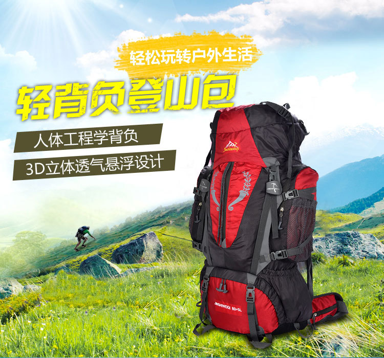 Factory Professional Mountaineering Bag Bracket Backpack Waterproof Outdoor Travel Backpack Hiking Back Bag 80L Factory Professional Mountaineering Bag Bracket Backpack Waterproof Outdoor Travel Backpack Hiking Back Bag 80L