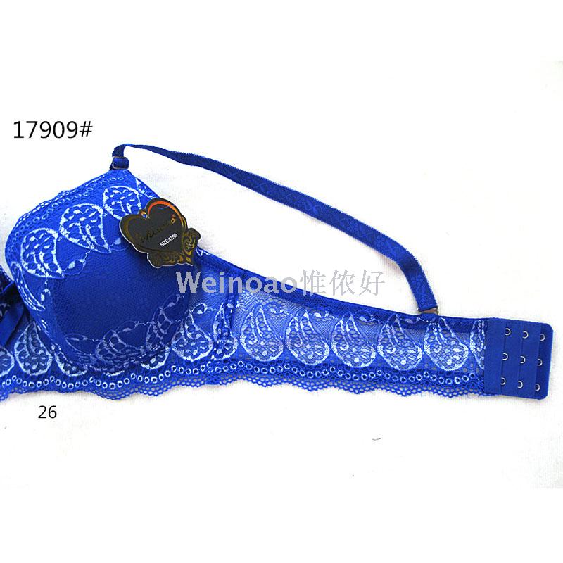 2019 new 5D embroidery thin cup with steel rim high-end underwear cross-border export hot style bra set