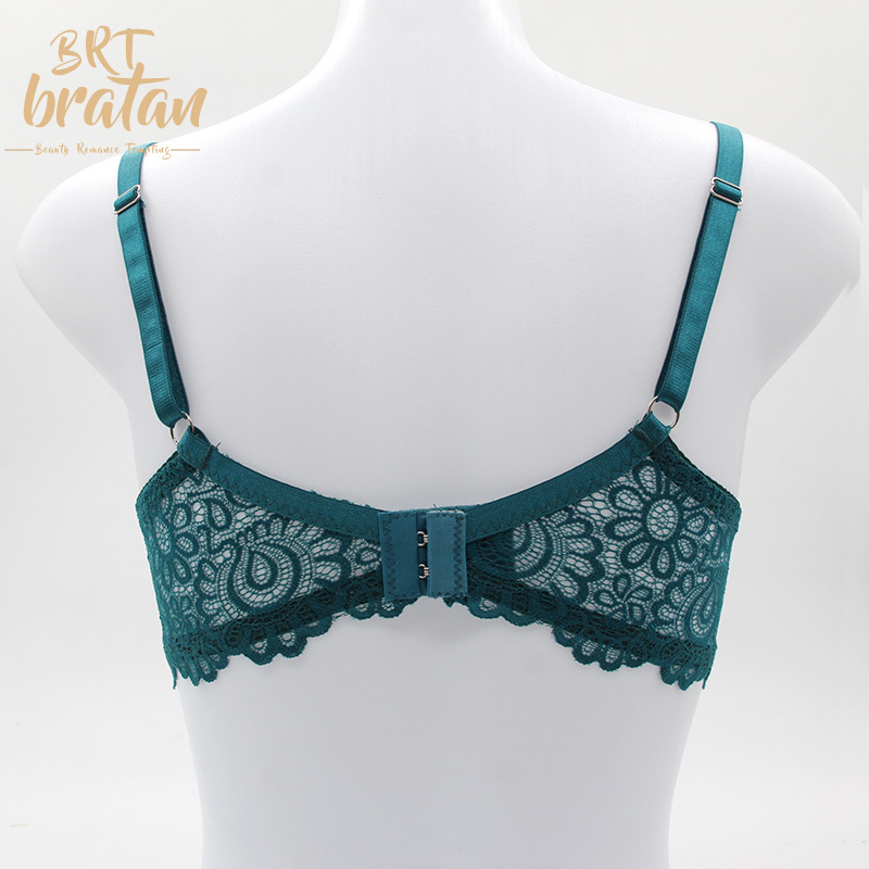 Two pcs bra set with luxurious and sexy high-end embroidery lace beauty bra and panty set
