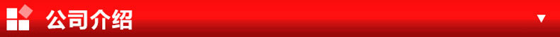 New Wide-Edged Headband Raffia Woven Headband European and American fabric heat press