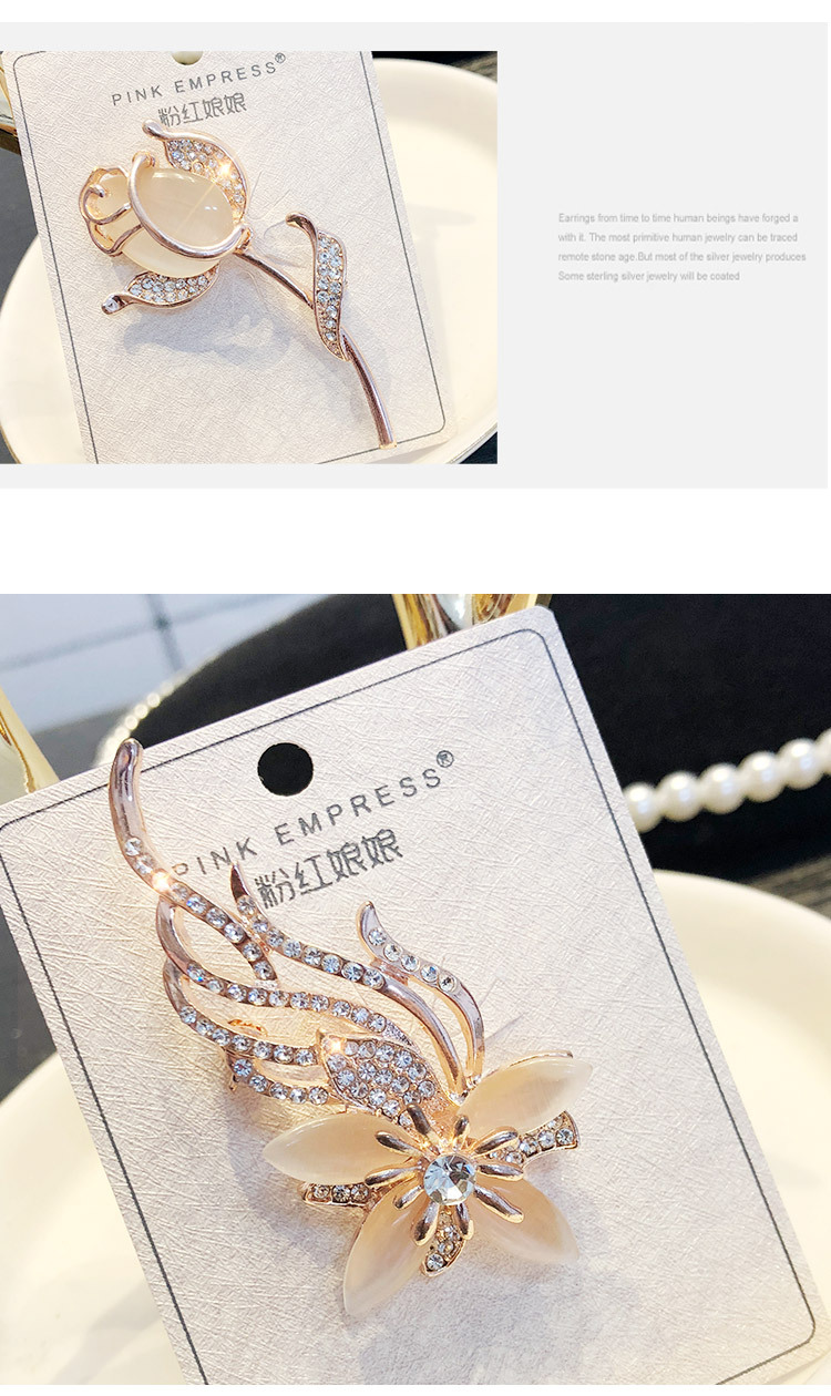 [Aiqi] Pearl Brooch Fashion Clothing Resin Corsage Vintage Animal Silk Scarf Buckle Pin H0042