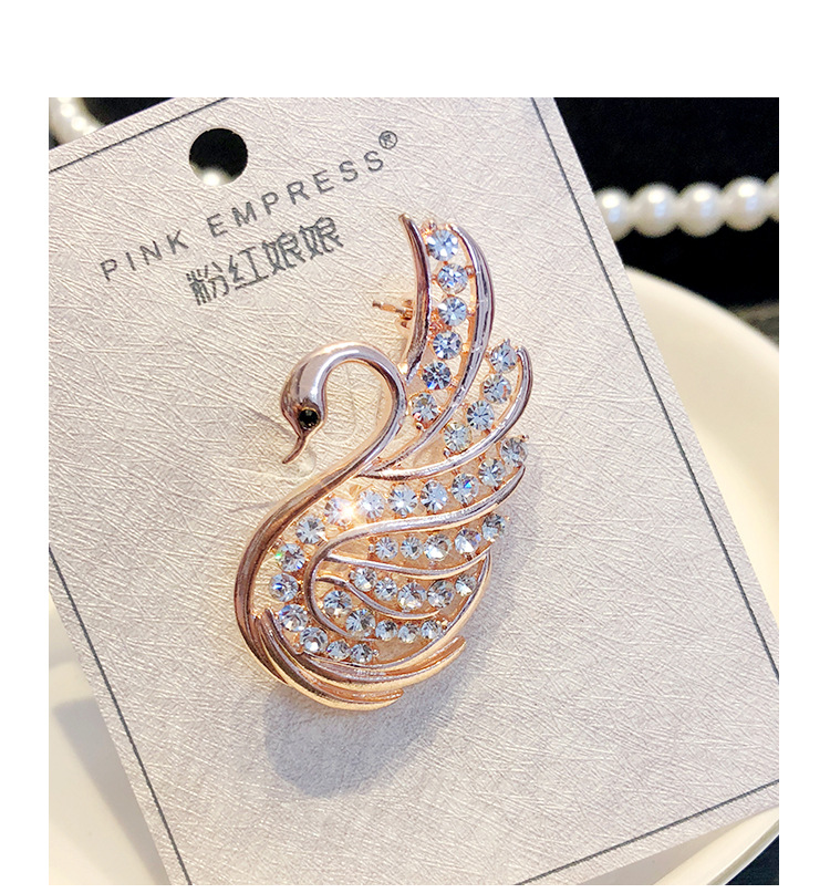 [Aiqi] Pearl Brooch Fashion Clothing Resin Corsage Vintage Animal Silk Scarf Buckle Pin H0042
