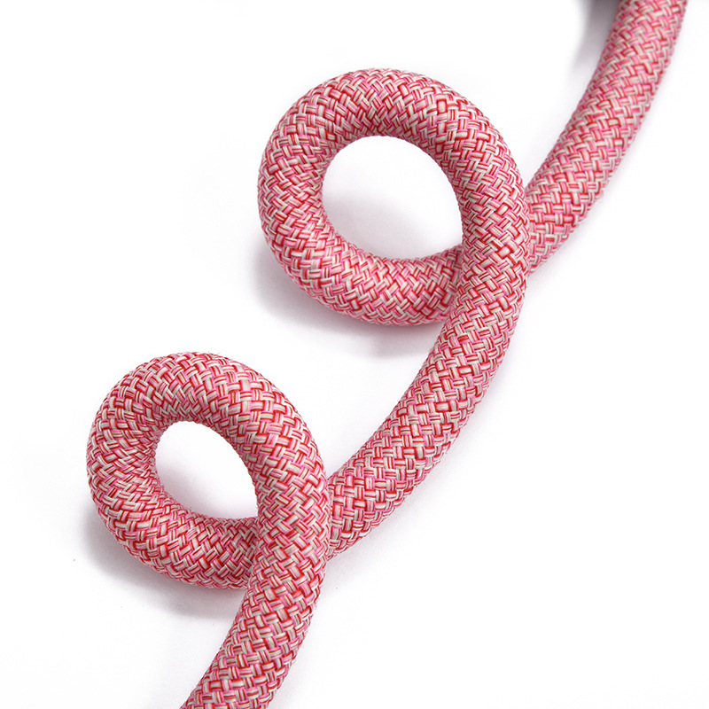 Supply All Kinds of Patterns Polyester Rope Hemp Haha round Rope Pet Leash Dacron Ropes Thickness Color Can Be Customized