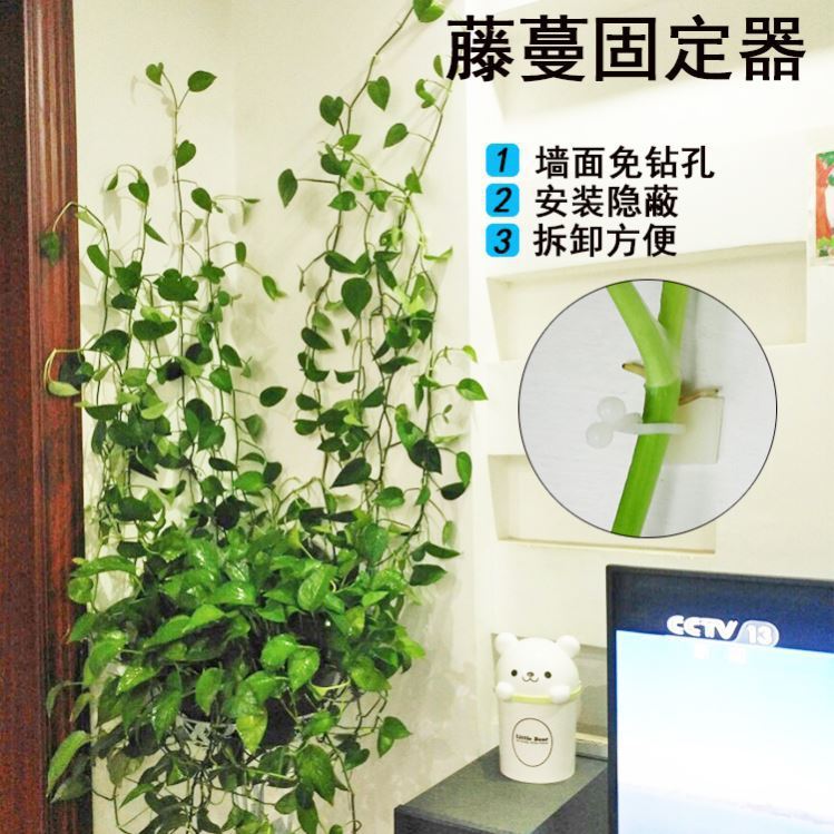 Green plant Fixator Vine Climbing wall Fixator Stickup Seamless Hook
