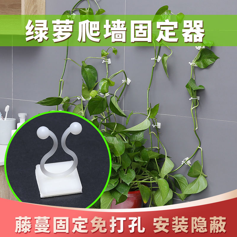 Green plant Fixator Vine Climbing wall Fixator Stickup Seamless Hook
