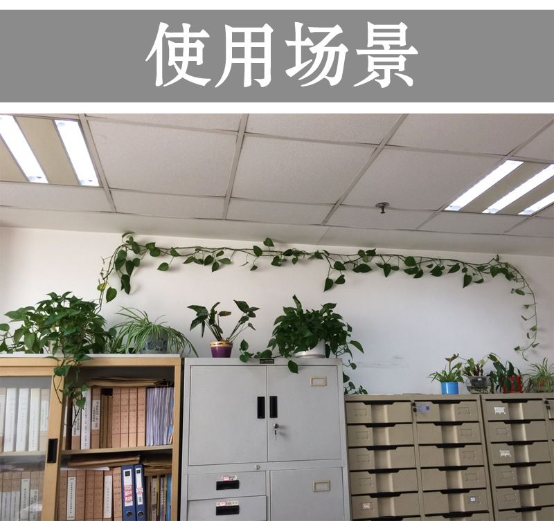 Green plant Fixator Vine Climbing wall Fixator Stickup Seamless Hook