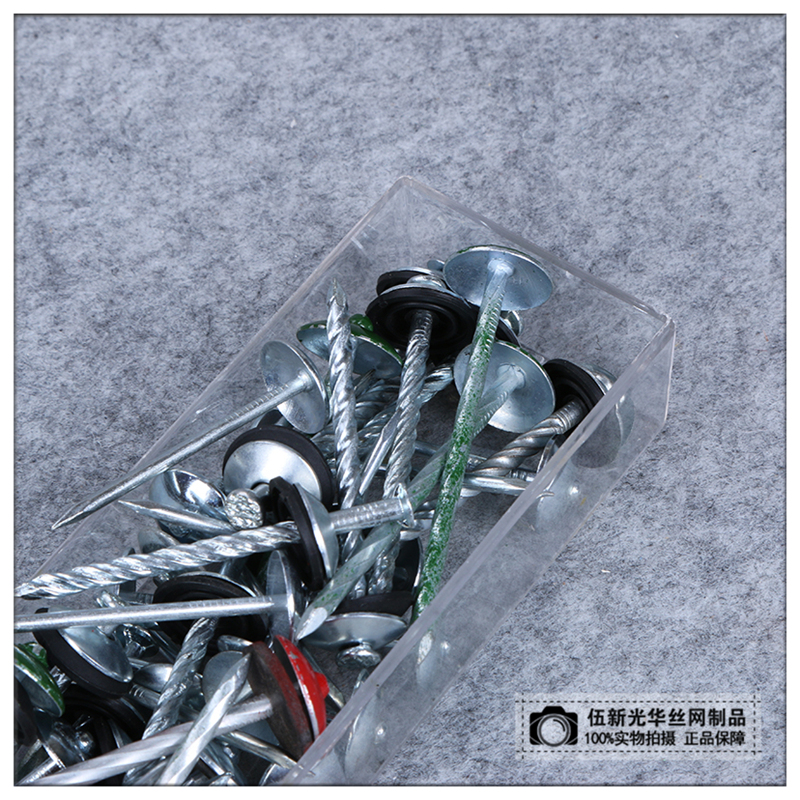 Factory Direct Sales Big Head Nail Roofing Nail with Cap Nail