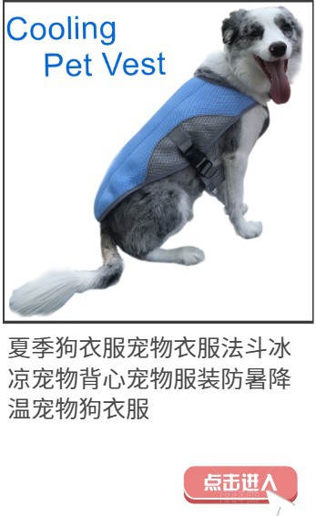 Fur Collar Dog Clothes Pet Clothes Autumn and Winter Reflective Waterproof Dog Quilted Cotton Cloth New Style Pet Fur Collar Dog Clothes Pet Clothes Autumn and Winter Reflective Waterproof Dog Quilted Cotton Cloth New Style Pet