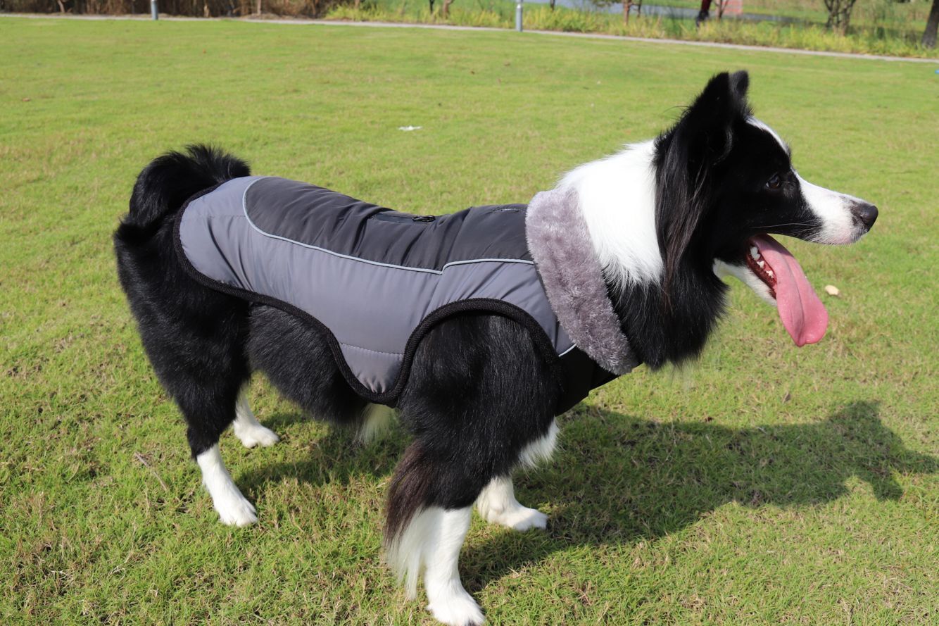 Fur Collar Dog Clothes Pet Clothes Autumn and Winter Reflective Waterproof Dog Quilted Cotton Cloth New Style Pet Fur Collar Dog Clothes Pet Clothes Autumn and Winter Reflective Waterproof Dog Quilted Cotton Cloth New Style Pet