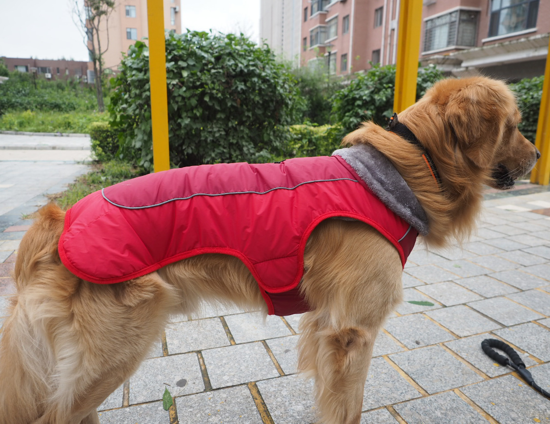 Fur Collar Dog Clothes Pet Clothes Autumn and Winter Reflective Waterproof Dog Quilted Cotton Cloth New Style Pet Fur Collar Dog Clothes Pet Clothes Autumn and Winter Reflective Waterproof Dog Quilted Cotton Cloth New Style Pet