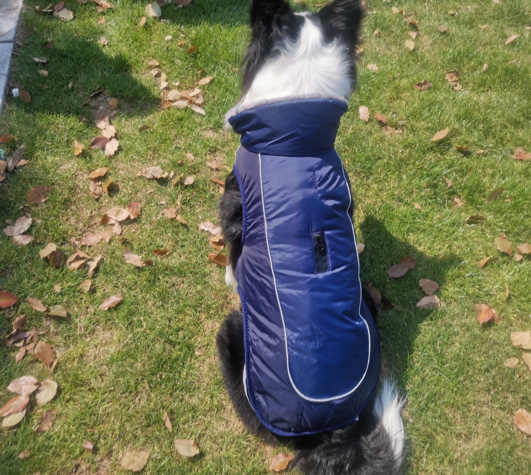 Fur Collar Dog Clothes Pet Clothes Autumn and Winter Reflective Waterproof Dog Quilted Cotton Cloth New Style Pet Fur Collar Dog Clothes Pet Clothes Autumn and Winter Reflective Waterproof Dog Quilted Cotton Cloth New Style Pet