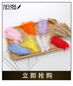 Manufacturer 13-15 cm bird hair silk plus cloth edge ostrich hair silk lace ostrich hair plus ribbon 2-139