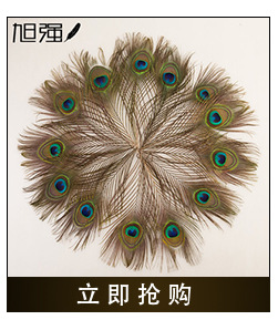 Manufacturer 13-15 cm bird hair silk plus cloth edge ostrich hair silk lace ostrich hair plus ribbon 2-139