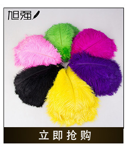 Manufacturer 13-15 cm bird hair silk plus cloth edge ostrich hair silk lace ostrich hair plus ribbon 2-139
