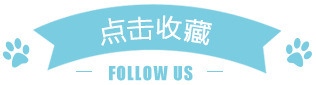 and American Crossborder 2020 Summer Hot Style Women's Sexy Bowknot Pleated Condole Belt U neck Small Vest Manufacturers