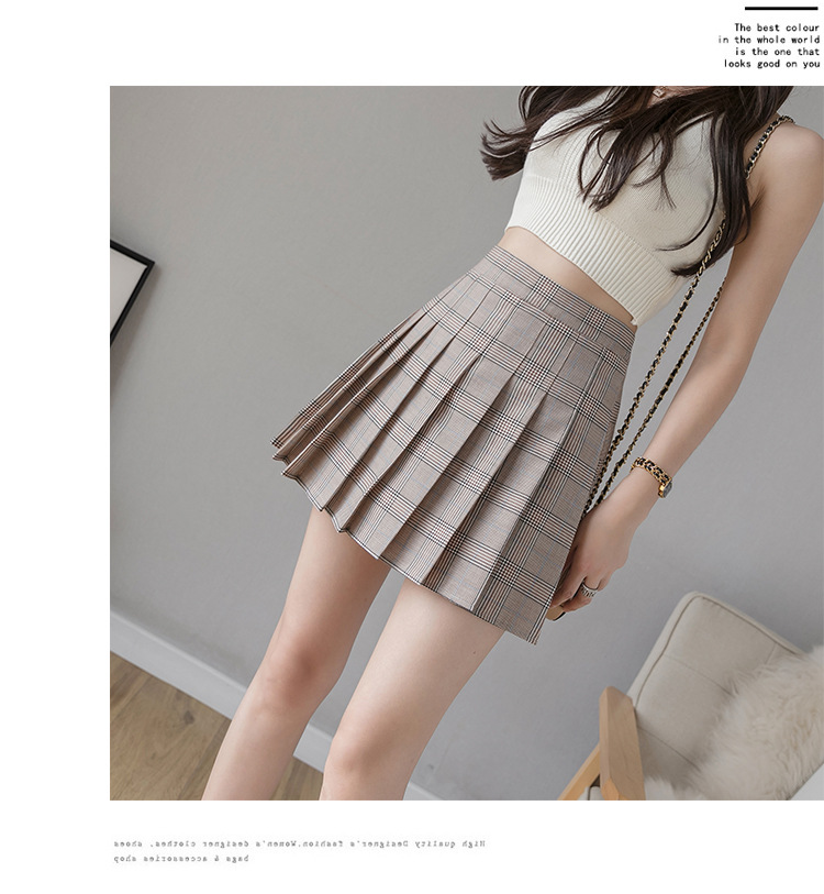 Pleated Skirt Women's Short Skirt High Waist Korean Style New Skirt Women's Summer Autumn plus Size A- line Embroidery Student Dress
