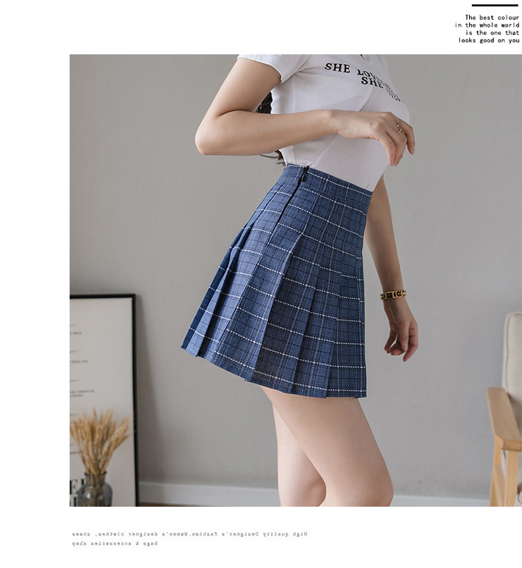 Pleated Skirt Women's Short Skirt High Waist Korean Style New Skirt Women's Summer Autumn plus Size A- line Embroidery Student Dress