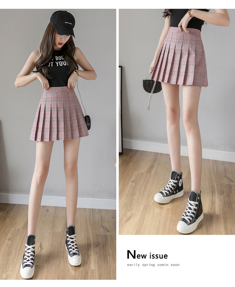 Pleated Skirt Women's Short Skirt High Waist Korean Style New Skirt Women's Summer Autumn plus Size A- line Embroidery Student Dress