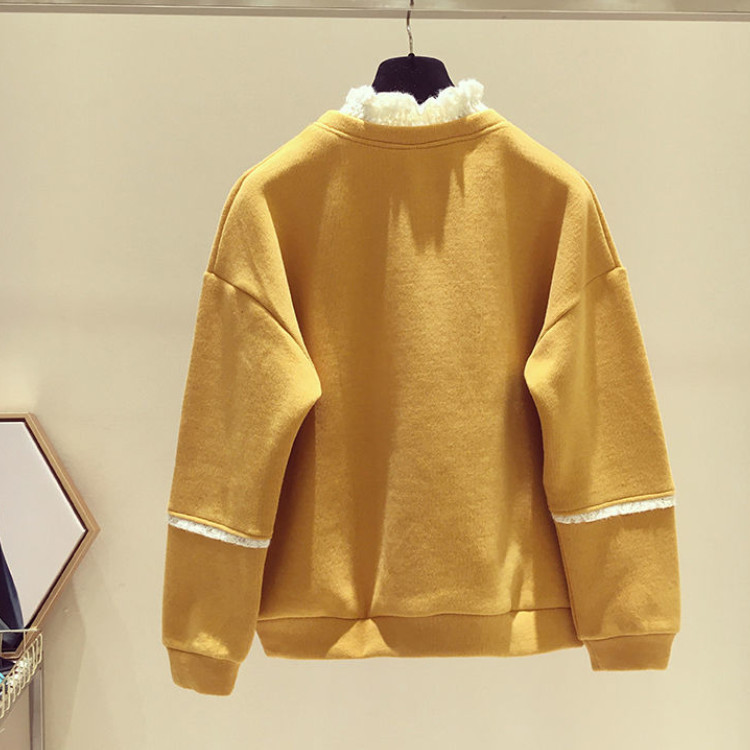 Half Turtleneck Brushed Hoody 2020 New Autumn and Winter Clothes Korean Version of the Loose False Two Pieces Long Sleeve Top Coat Female