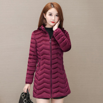 Autumn and Winter 2020 new down cotton-padded jackets for middle-aged and elderly women, padded cotton-padded jackets 