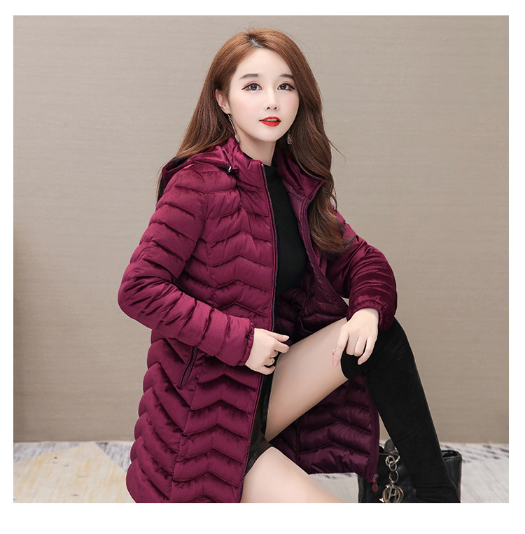 Autumn and Winter 2020 new down cotton-padded jackets for middle-aged and elderly women, padded cotton-padded jackets 