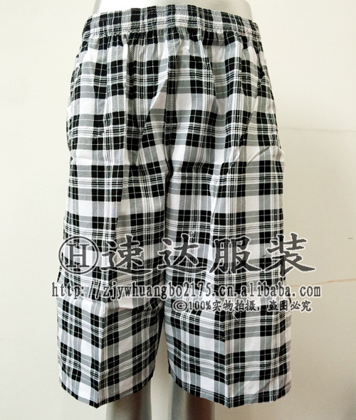 Factory Direct Sales Men's Beach Pants Cotton All-Matching Casual Shorts Men's Foreign Trade Plaid 5-Point Pants Middle Pants Wholesale