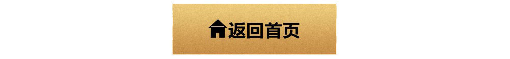 Double Teeth Edge Elastic Lace Band Boud Edage Belt Underwear Bra Elastic Shoulder Strap Wholesale Clothing Accessories Factory Direct Sales