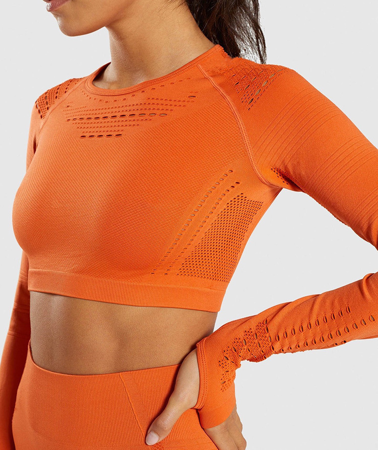 Spot European and American Yoga Exercise Suit Hollow Breathable Tight Clothes Women's Running Workout Long Sleeve Trousers Two-Piece Set Spot European and American Yoga Exercise Suit Hollow Breathable Tight Clothes Women's Running Workout Long Sleeve Trousers Two-Piece Set