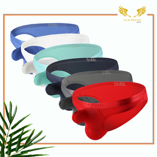 Factory Direct Supply Men's Underwear Nylon Sexy Low Waist Comrade Single Ding T-Shaped Panties Cross-Border Foreign Trade Large Size T-Back Men