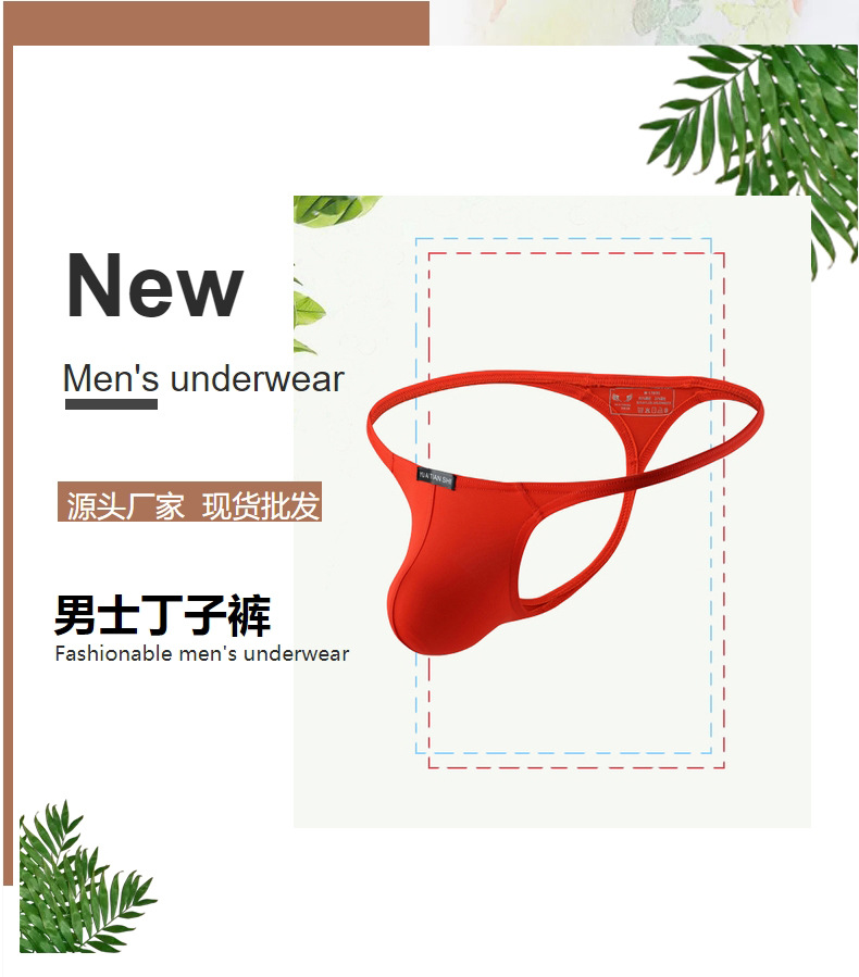 Factory Direct Supply Men's Underwear Nylon Sexy Low Waist Comrade Single Ding T-Shaped Panties Cross-Border Foreign Trade Large Size T-Back Men