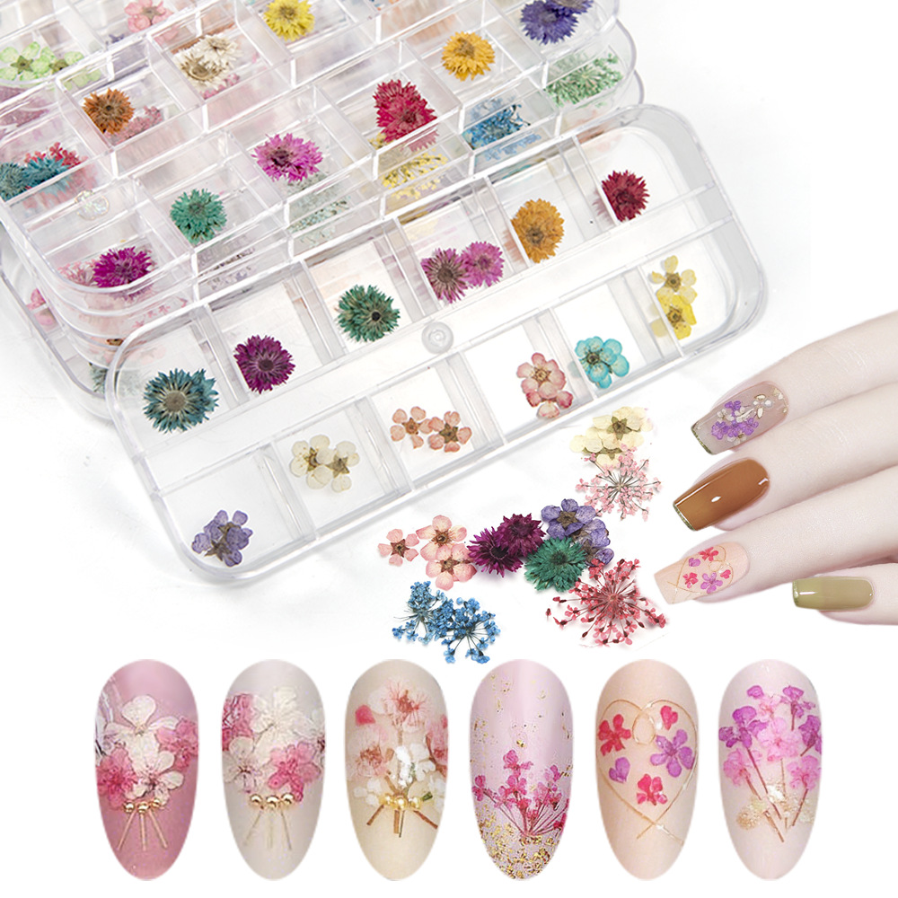 Cross-Border Hot Nail Ornament Wholesale 12 Colors Starry Sky Little Daisy Lace Preserved Fresh Flower Real Flower Nail Beauty Dried Flowers