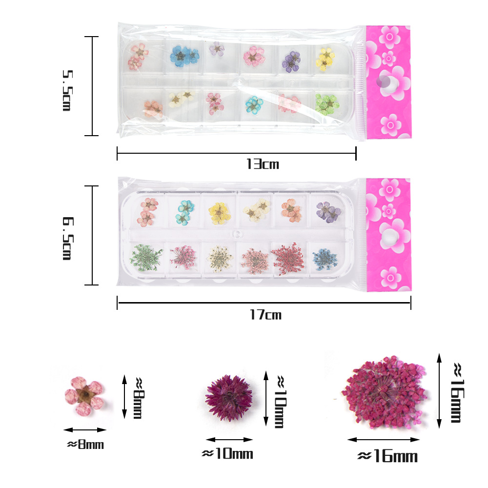 Cross-Border Hot Nail Ornament Wholesale 12 Colors Starry Sky Little Daisy Lace Preserved Fresh Flower Real Flower Nail Beauty Dried Flowers