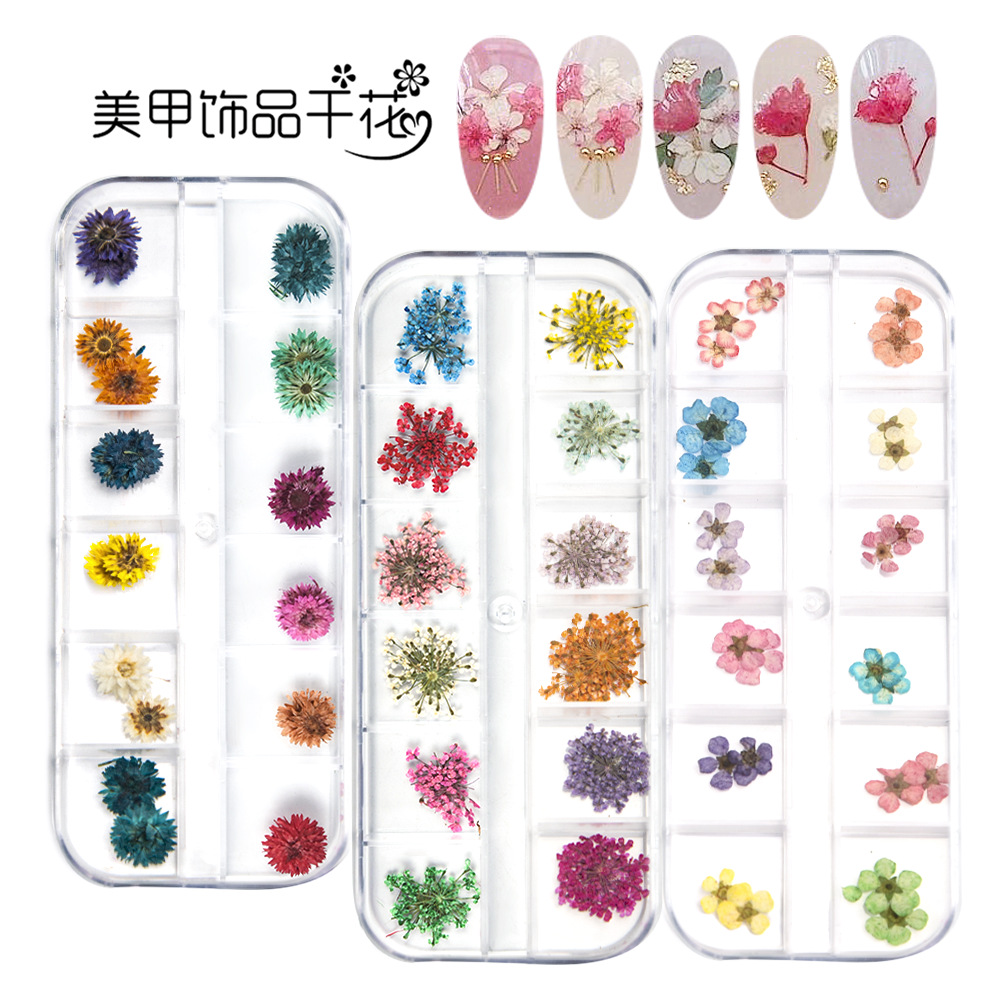 Cross-Border Hot Nail Ornament Wholesale 12 Colors Starry Sky Little Daisy Lace Preserved Fresh Flower Real Flower Nail Beauty Dried Flowers