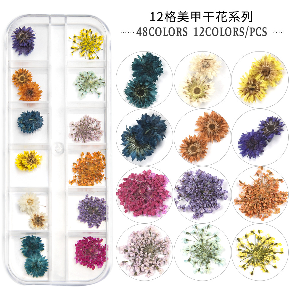Cross-Border Hot Nail Ornament Wholesale 12 Colors Starry Sky Little Daisy Lace Preserved Fresh Flower Real Flower Nail Beauty Dried Flowers