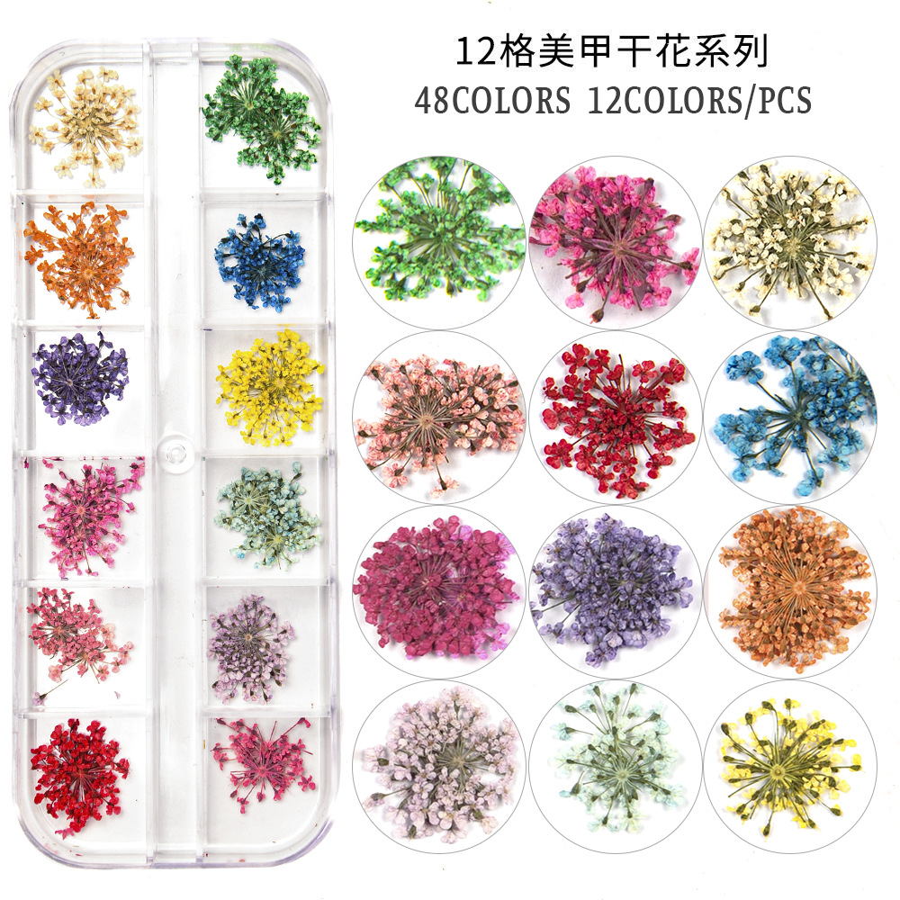 Cross-Border Hot Nail Ornament Wholesale 12 Colors Starry Sky Little Daisy Lace Preserved Fresh Flower Real Flower Nail Beauty Dried Flowers