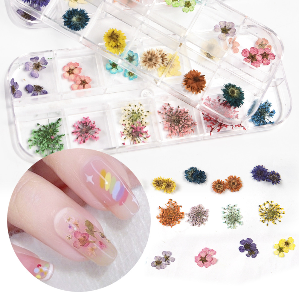 Cross-Border Hot Nail Ornament Wholesale 12 Colors Starry Sky Little Daisy Lace Preserved Fresh Flower Real Flower Nail Beauty Dried Flowers