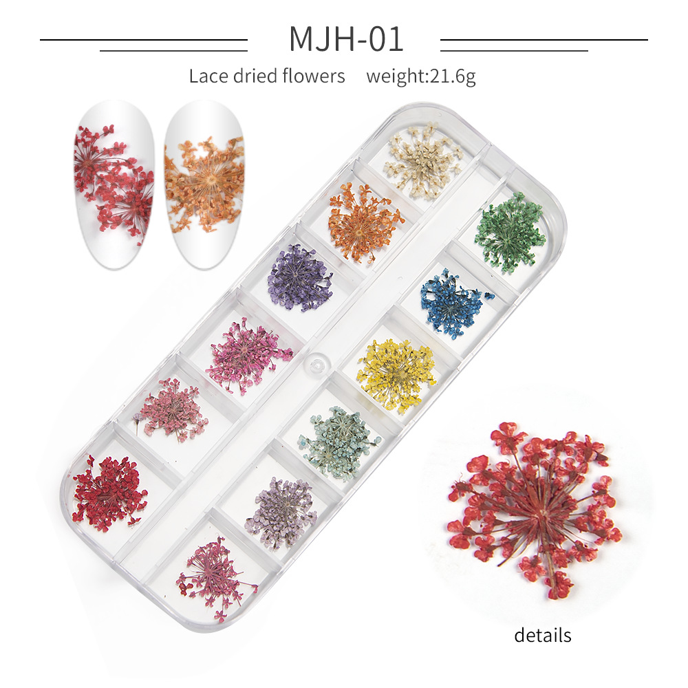 Cross-Border Hot Nail Ornament Wholesale 12 Colors Starry Sky Little Daisy Lace Preserved Fresh Flower Real Flower Nail Beauty Dried Flowers