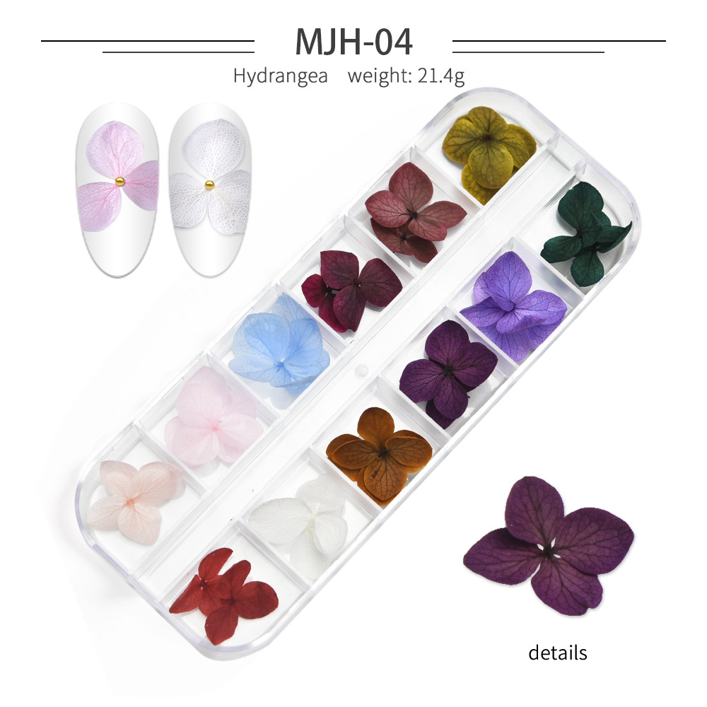 Cross-Border Hot Nail Ornament Wholesale 12 Colors Starry Sky Little Daisy Lace Preserved Fresh Flower Real Flower Nail Beauty Dried Flowers