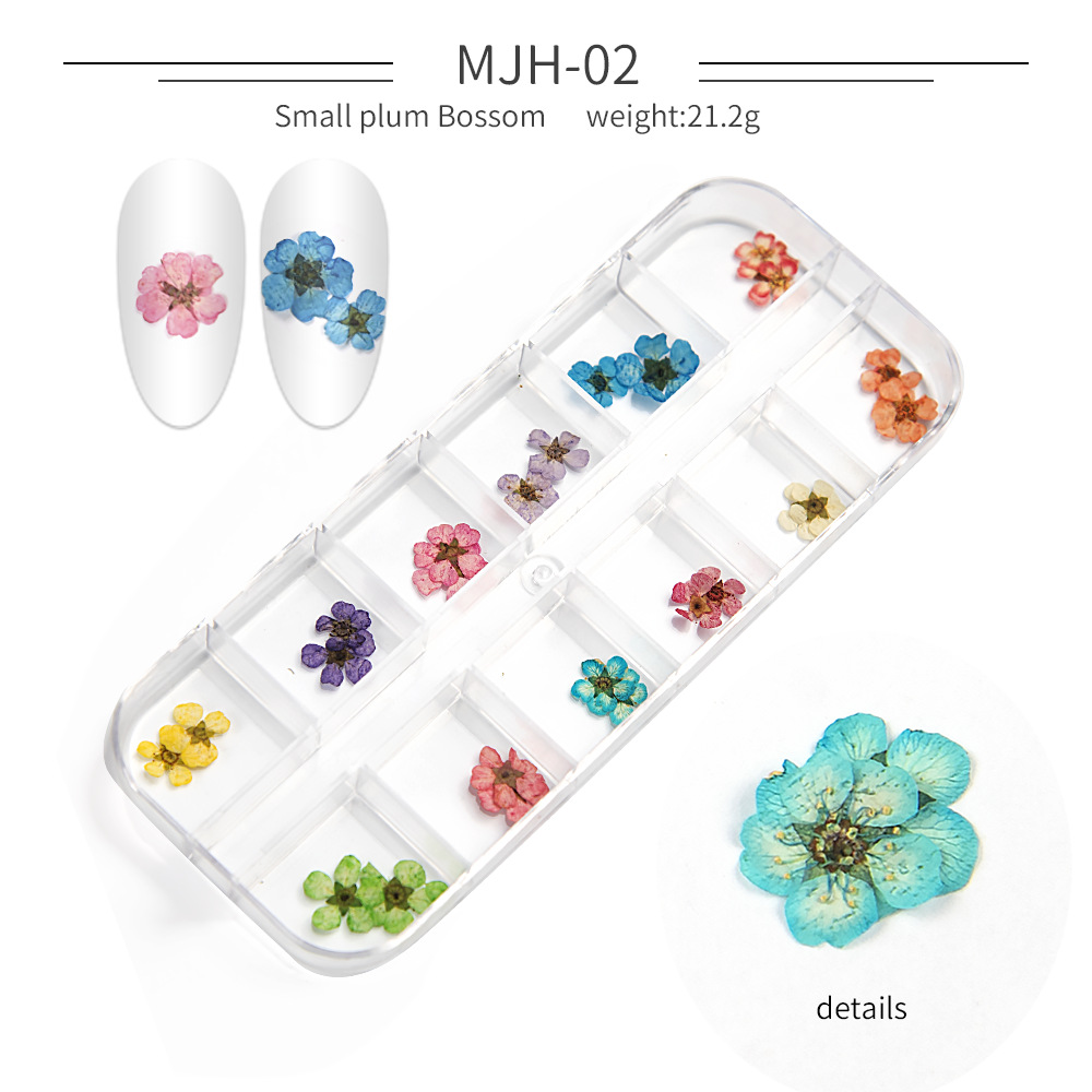 Cross-Border Hot Nail Ornament Wholesale 12 Colors Starry Sky Little Daisy Lace Preserved Fresh Flower Real Flower Nail Beauty Dried Flowers