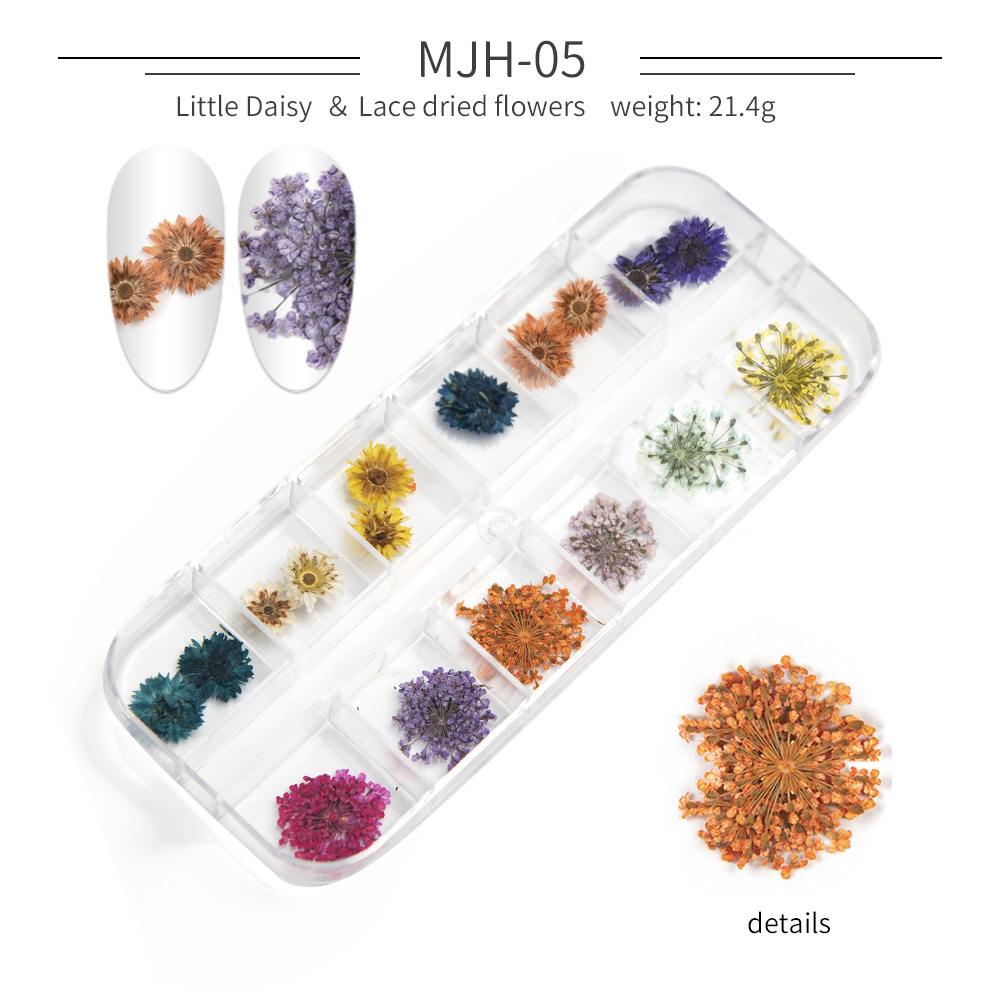 Cross-Border Hot Nail Ornament Wholesale 12 Colors Starry Sky Little Daisy Lace Preserved Fresh Flower Real Flower Nail Beauty Dried Flowers