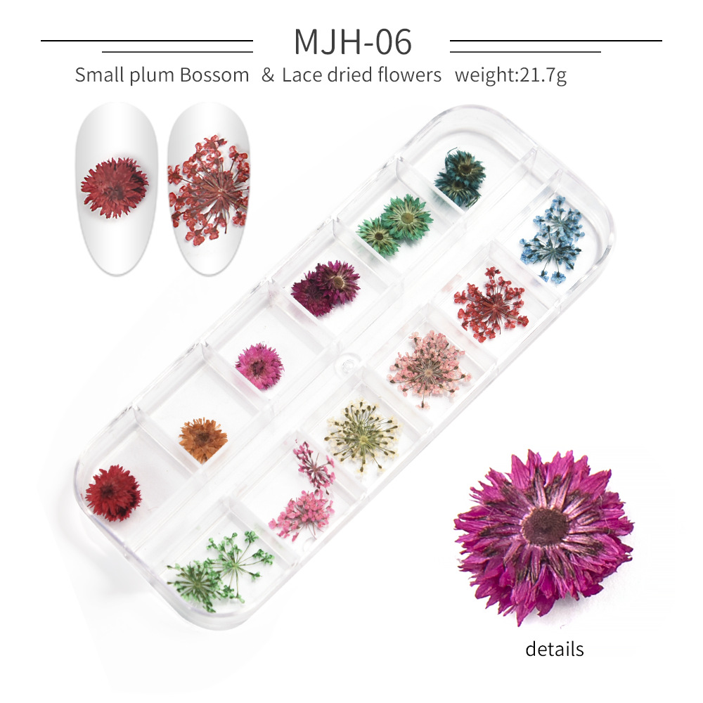 Cross-Border Hot Nail Ornament Wholesale 12 Colors Starry Sky Little Daisy Lace Preserved Fresh Flower Real Flower Nail Beauty Dried Flowers