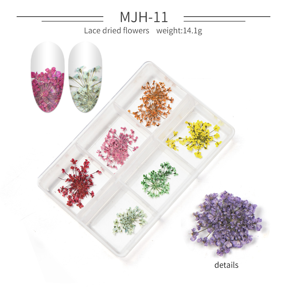 Cross-Border Hot Nail Ornament Wholesale 12 Colors Starry Sky Little Daisy Lace Preserved Fresh Flower Real Flower Nail Beauty Dried Flowers