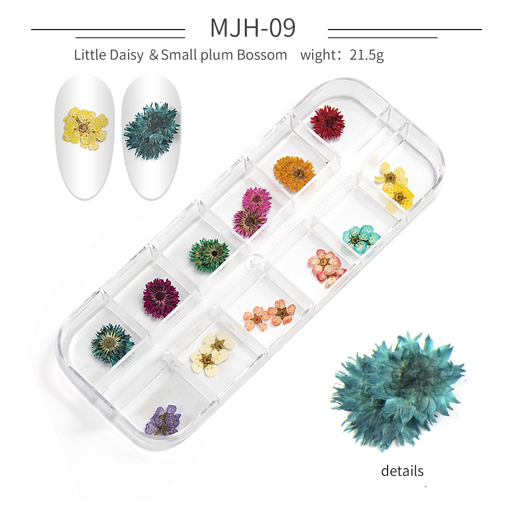Cross-Border Hot Nail Ornament Wholesale 12 Colors Starry Sky Little Daisy Lace Preserved Fresh Flower Real Flower Nail Beauty Dried Flowers